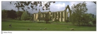 Bolton Priory postcards